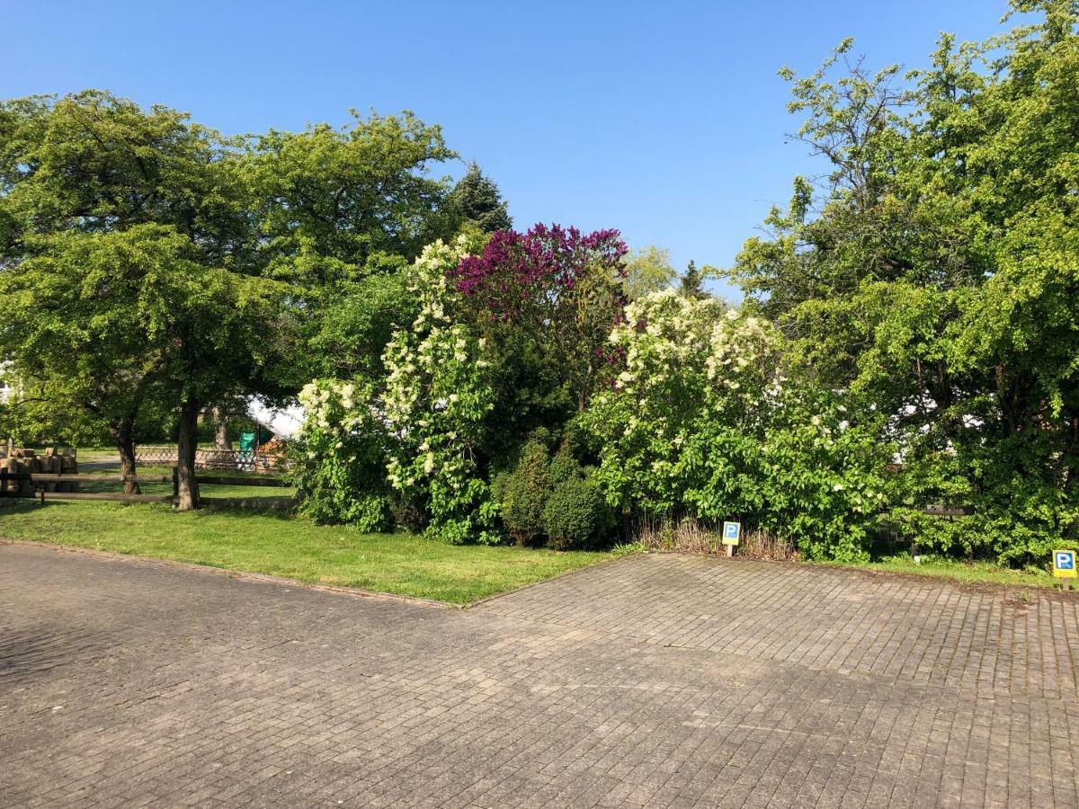 Ferienanlage Bullerbue Lohme Buitenkant foto