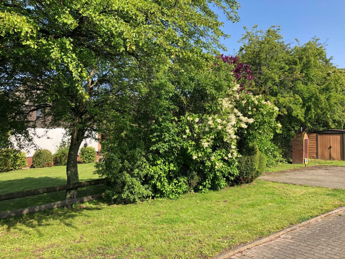 Ferienanlage Bullerbue Lohme Buitenkant foto